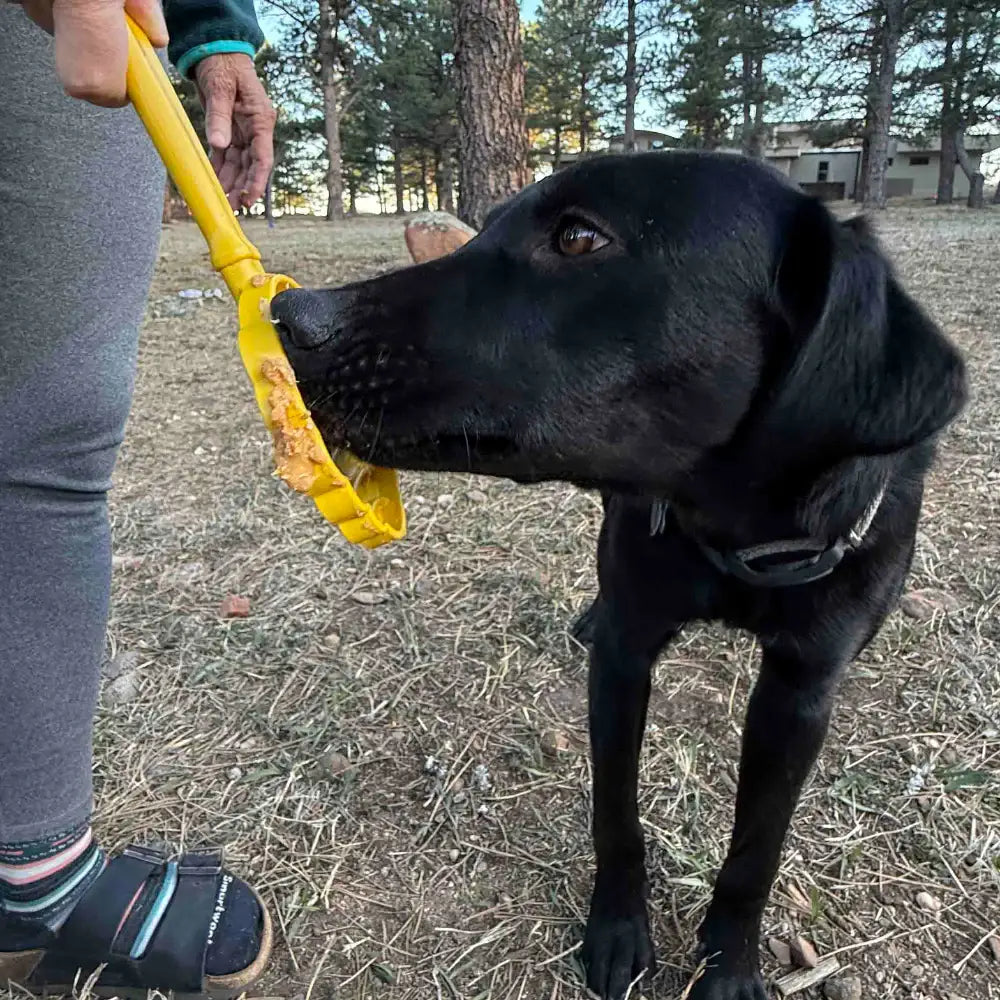 Beehive Lick Stick