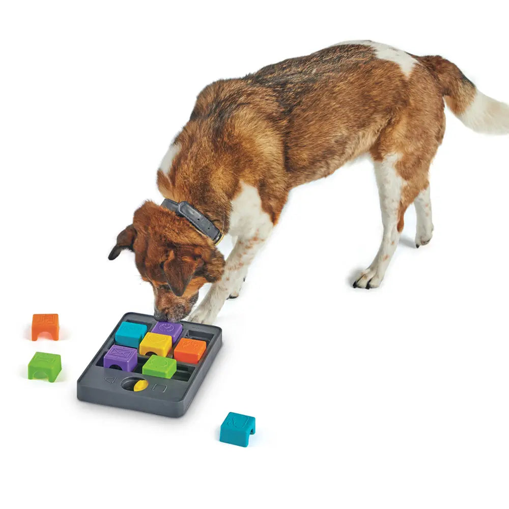 Pup Phone Treat Puzzle