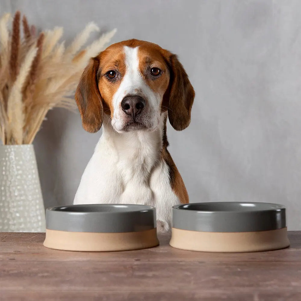 Scandi Non-Tip Pet Bowl - Grey