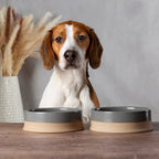 Scandi Non-Tip Pet Bowl - Grey