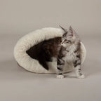 Seattle Crinkle Sleeping Bag - Sienna Brown